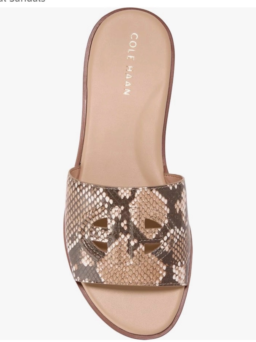 New. Sz 9 or 11. Cole Haan Flynn Logo Snake-Print Slide in Taupe and Brown